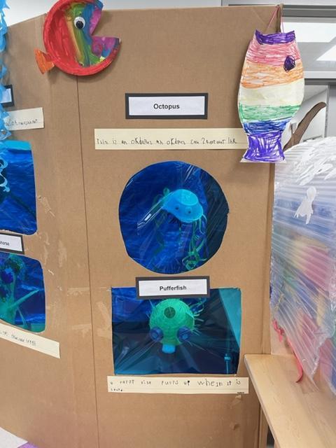 Kindergarten aquarium