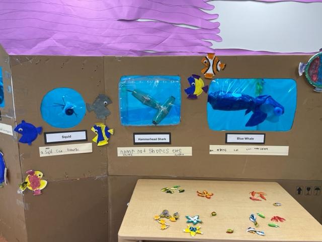 Kindergarten aquarium