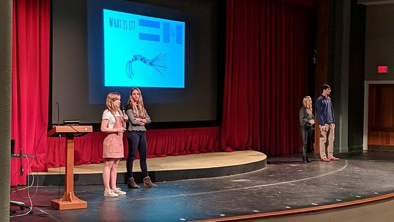 Pulsera Project presentation