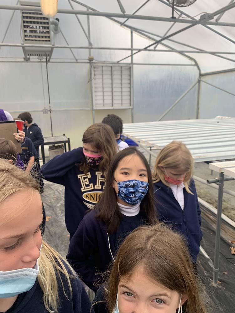 Greenhouse