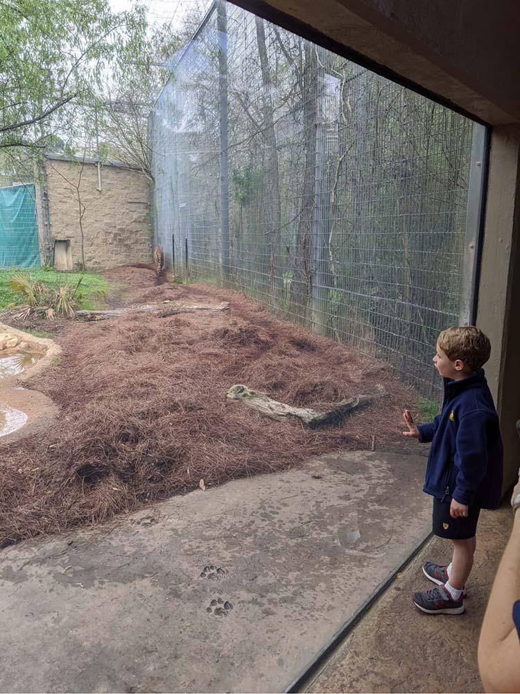 Zoo6 1