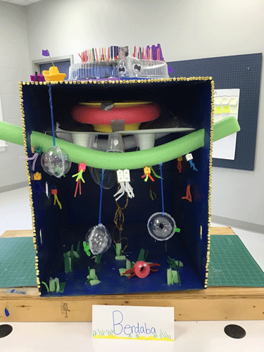 Fifth grade floating cities