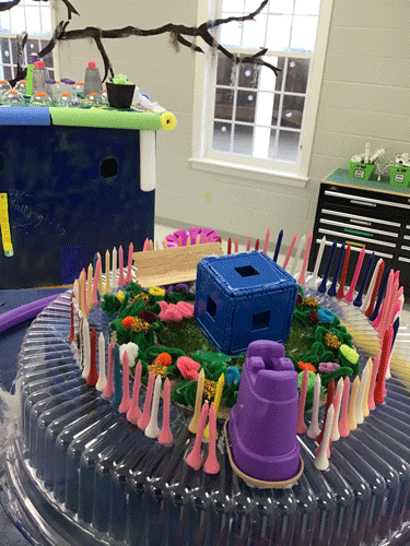 Fifth grade floating cities