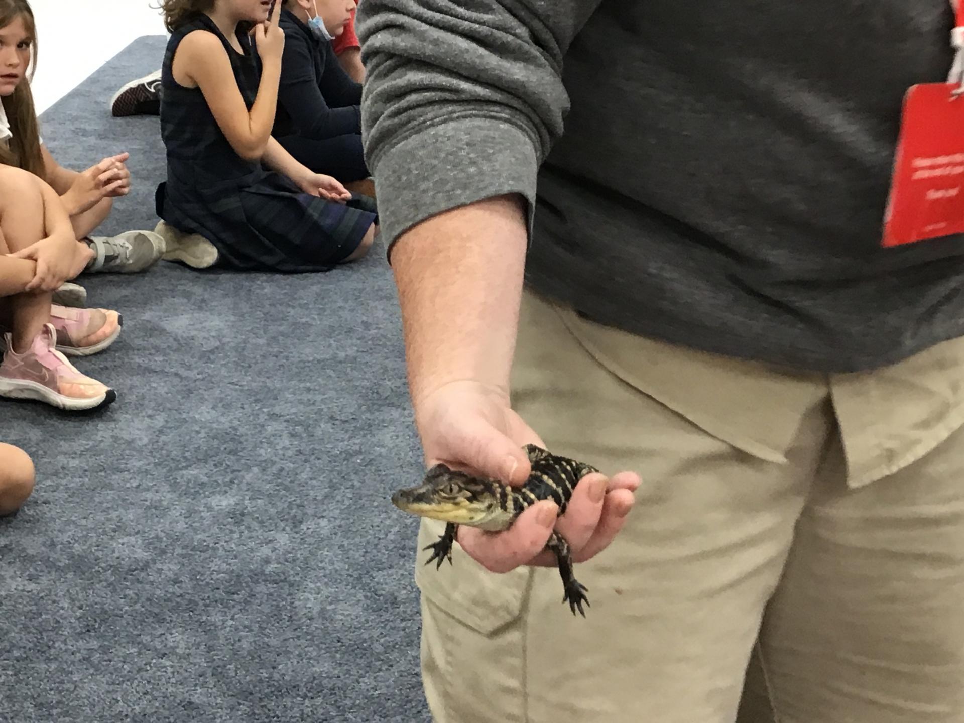 Zoo visit