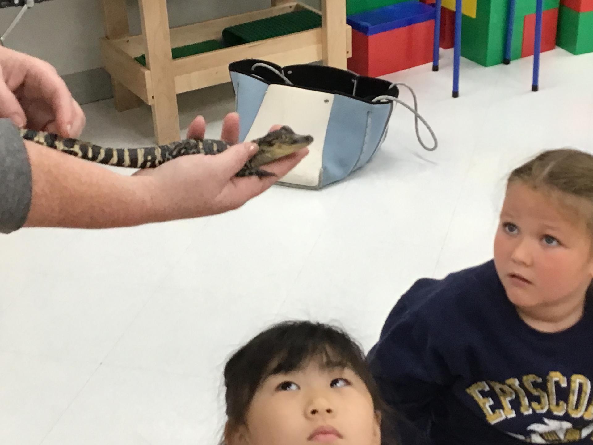 Zoo visit