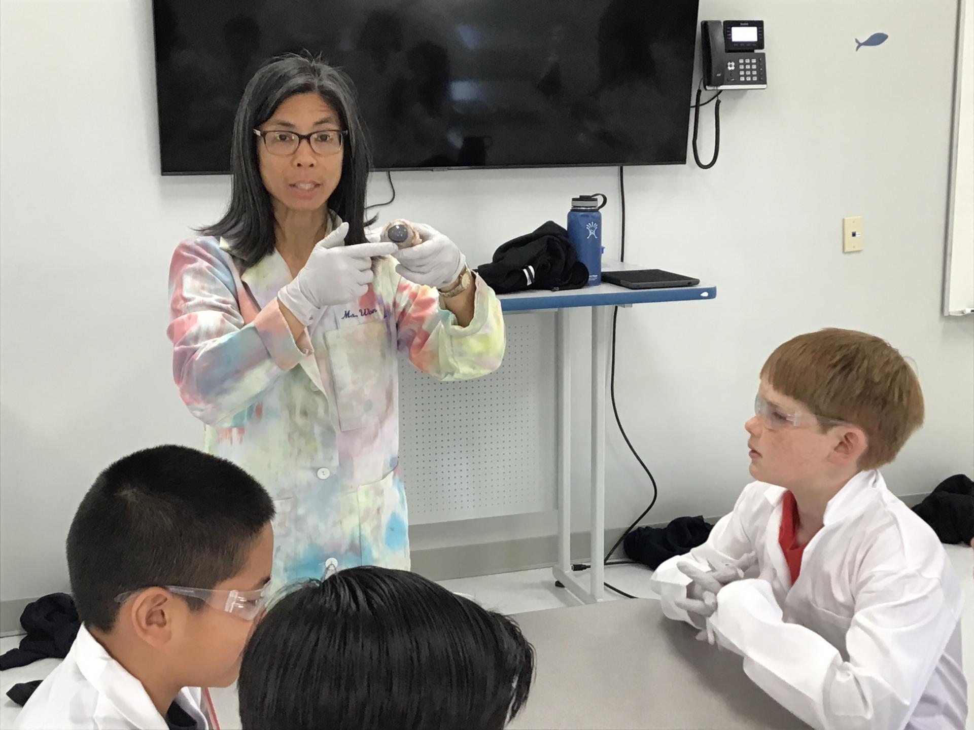 4th grade cow eye dissection