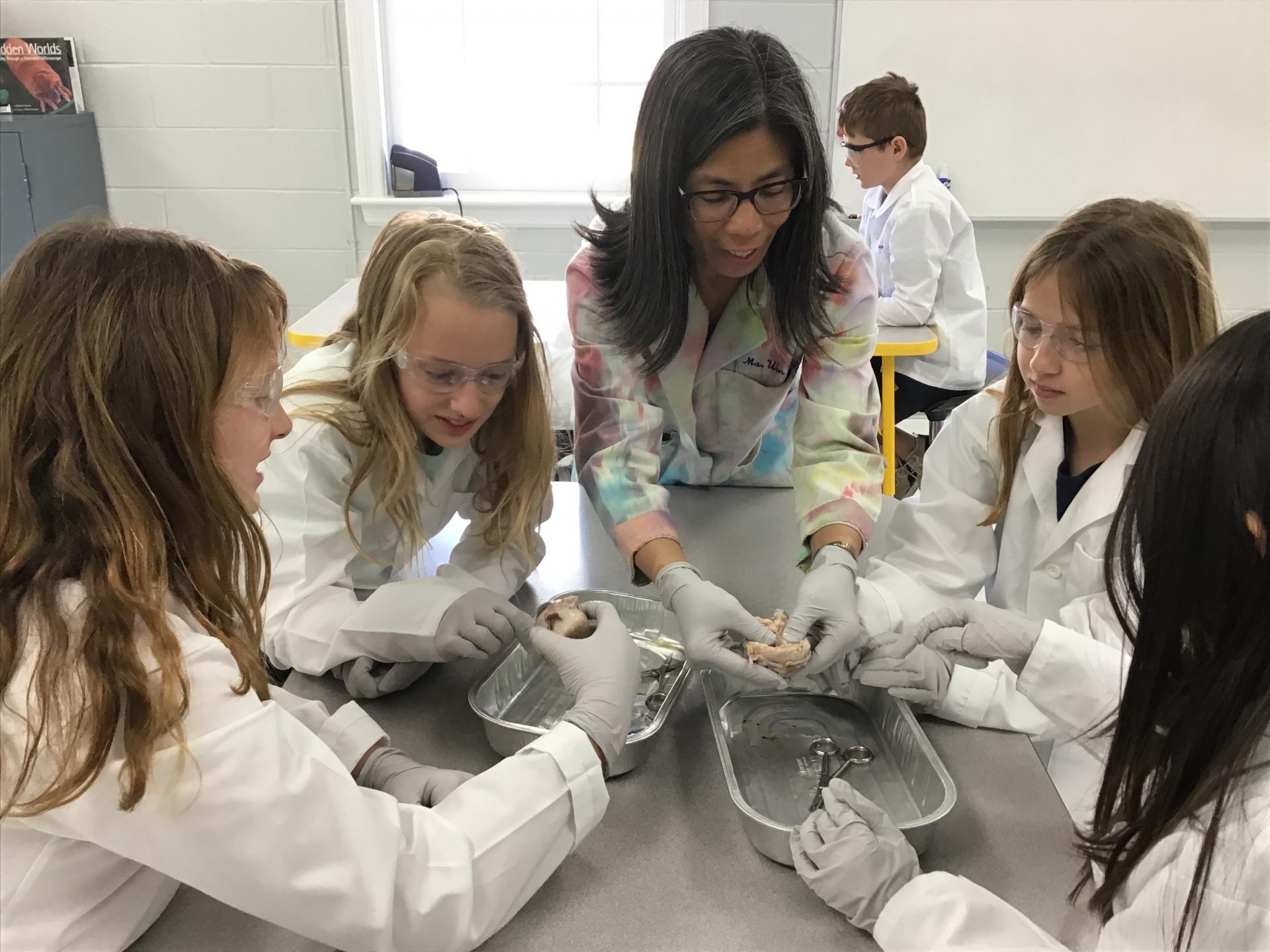 4th grade cow eye dissection