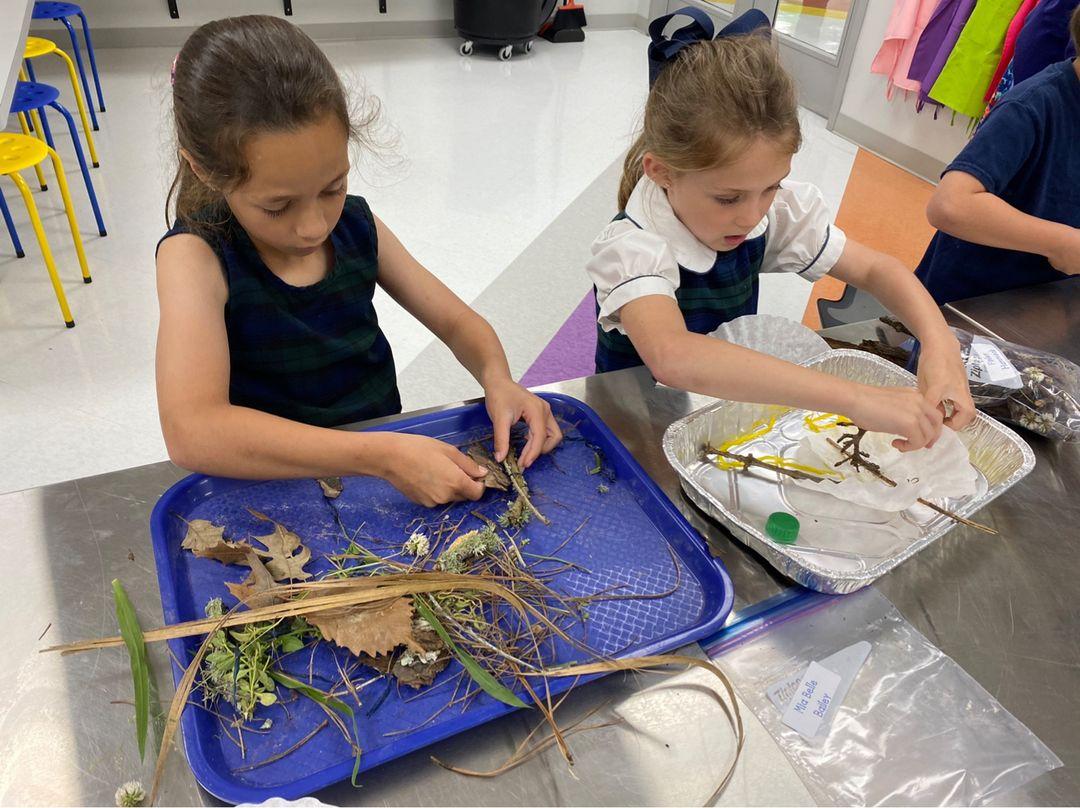 Making bird nests