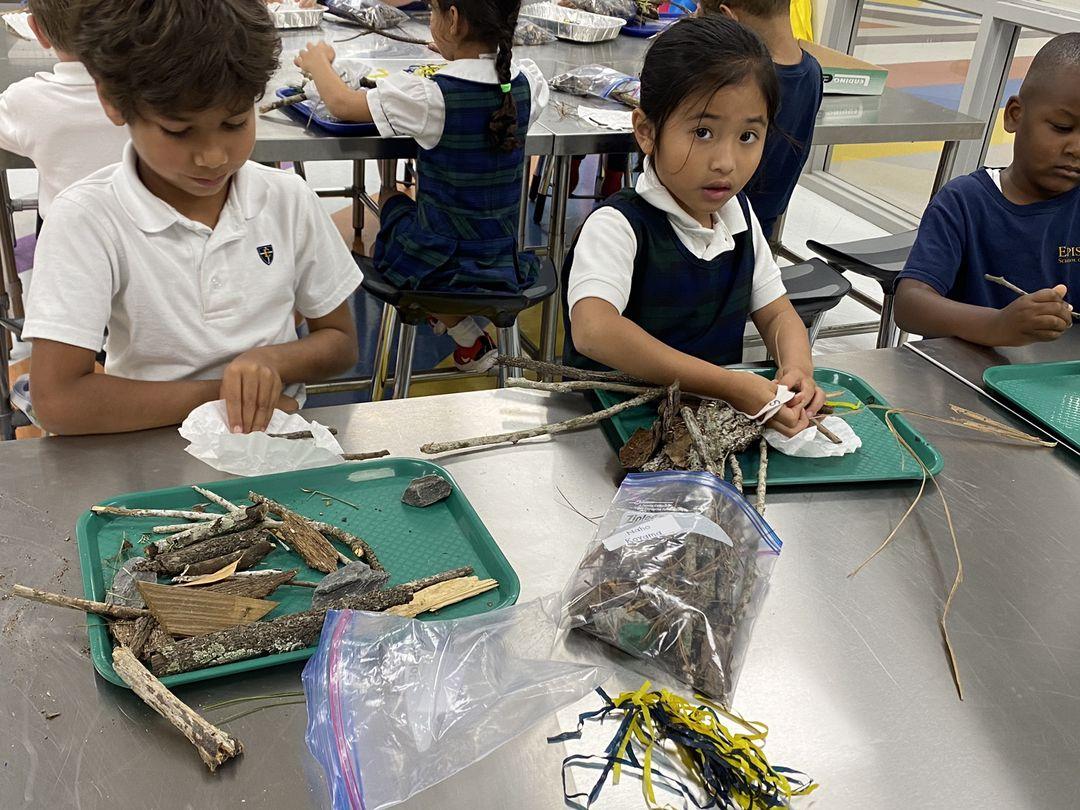 Making bird nests