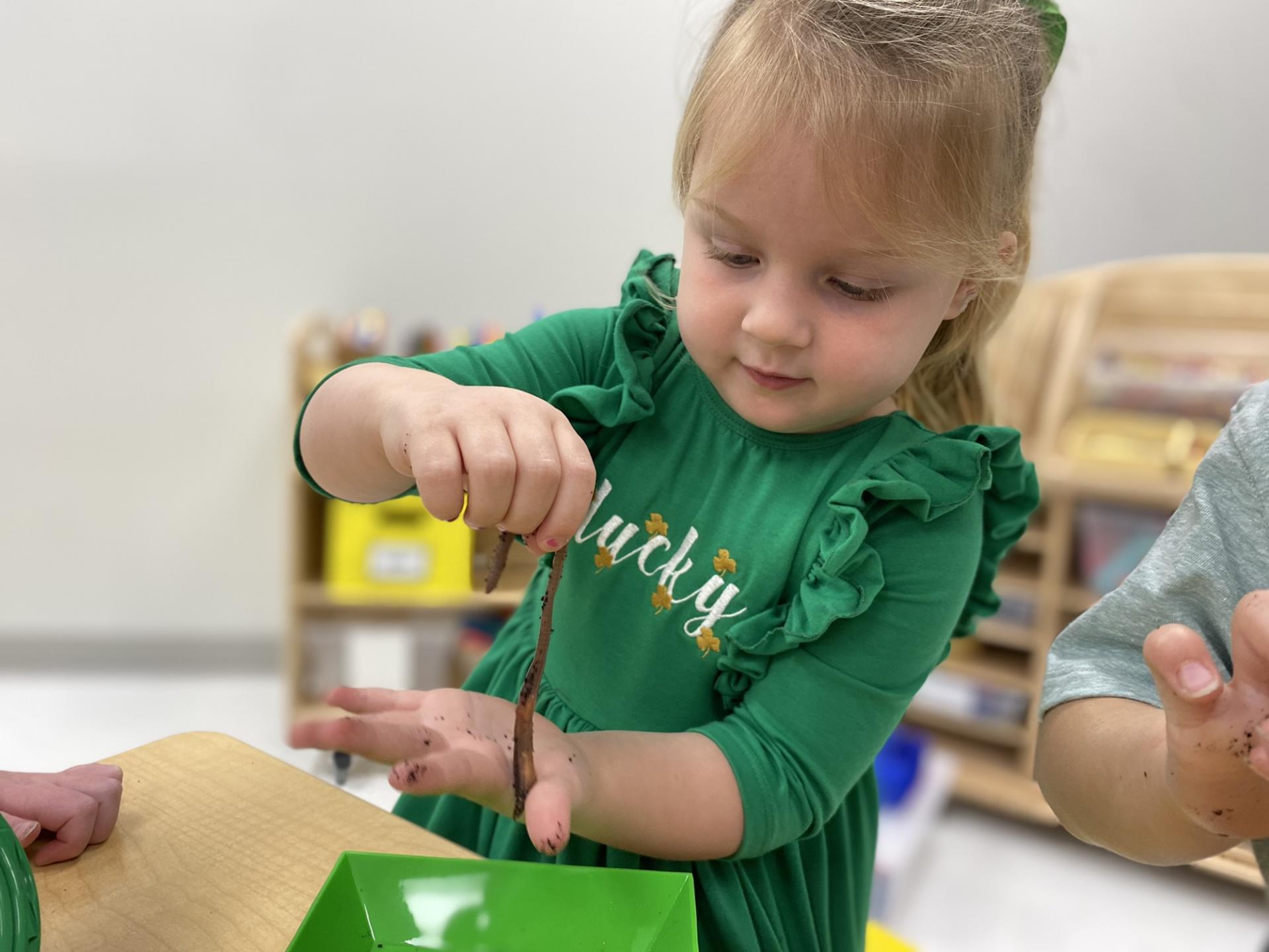 PreK science explorers