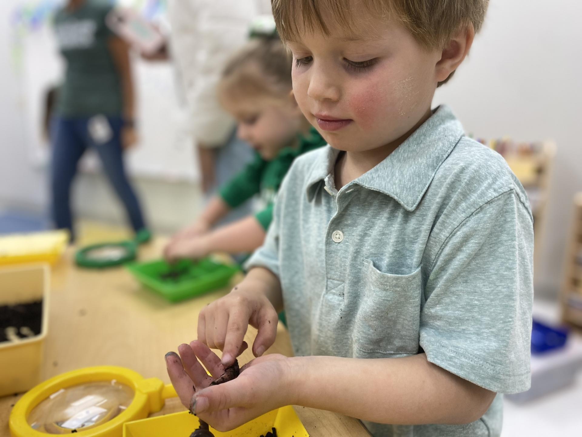 PreK science explorers