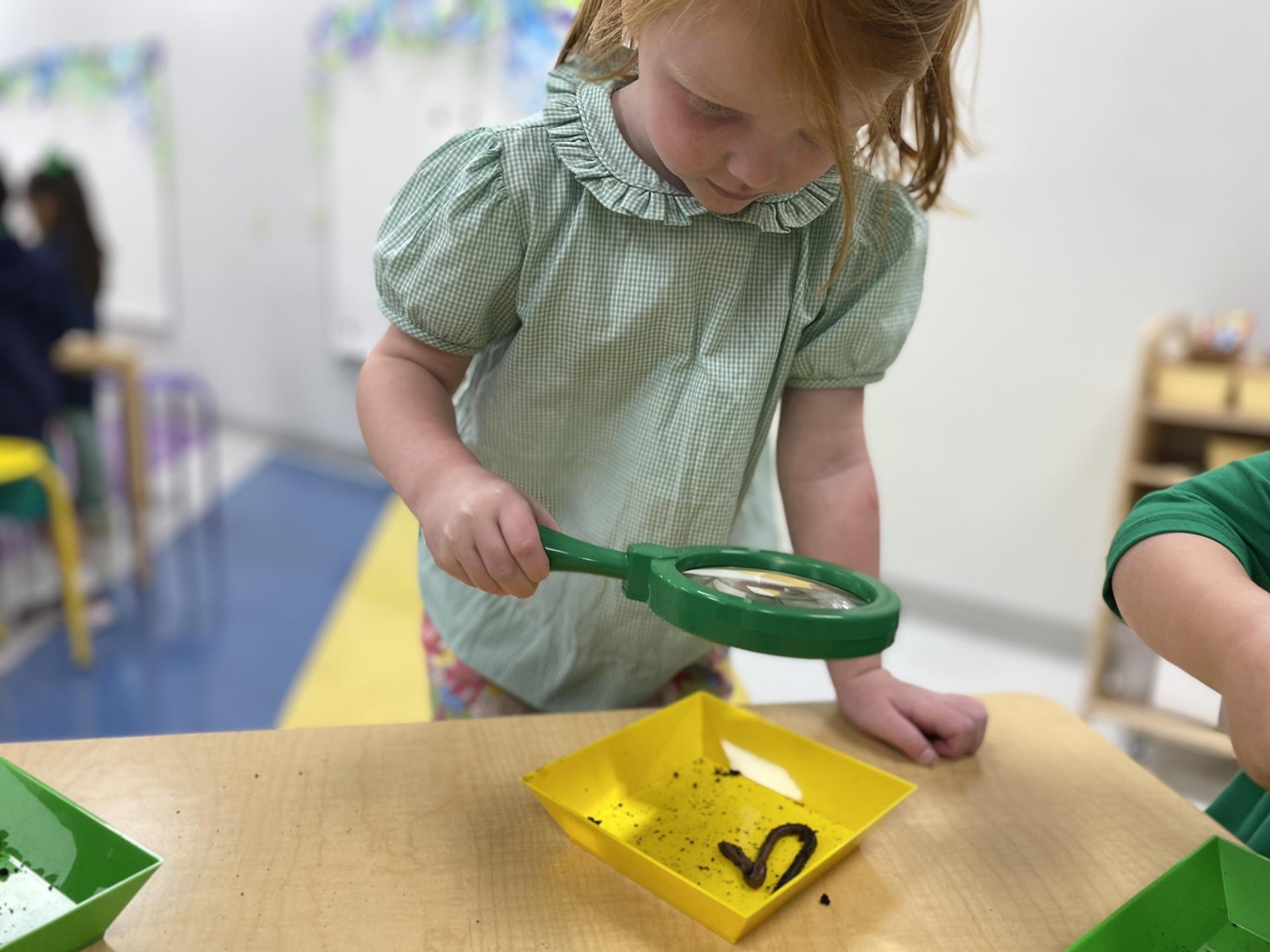 PreK science explorers