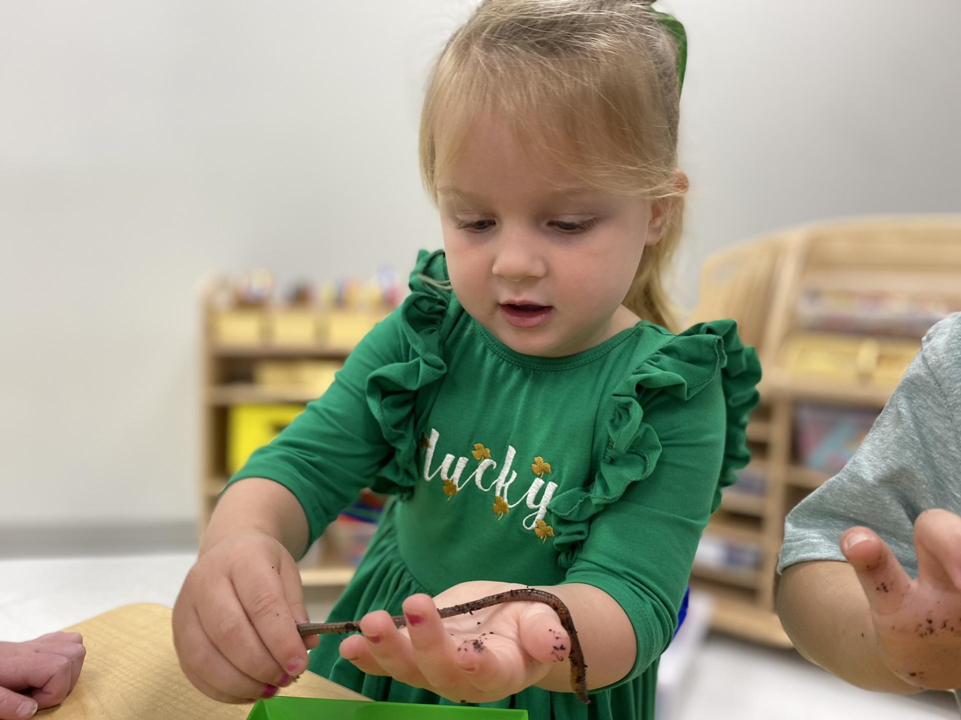 PreK science explorers