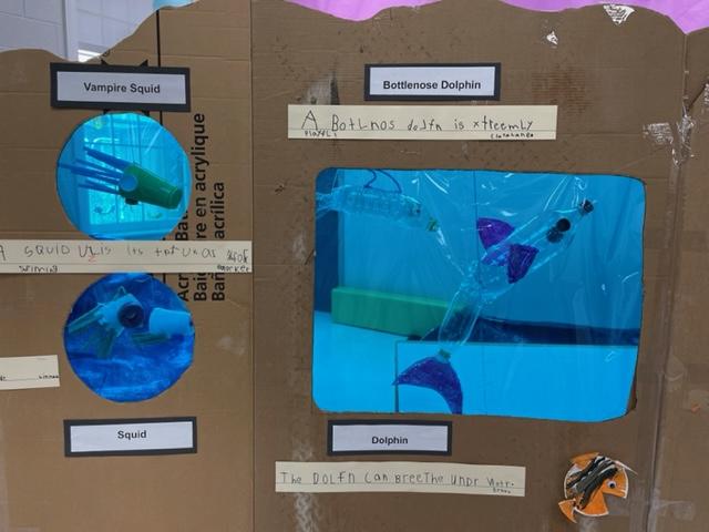 Kindergarten aquarium