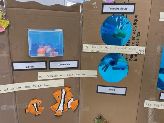 Kindergarten aquarium
