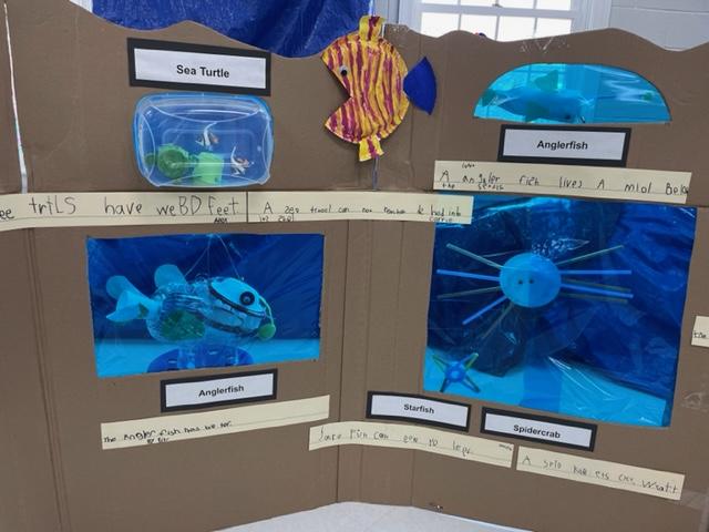Kindergarten aquarium