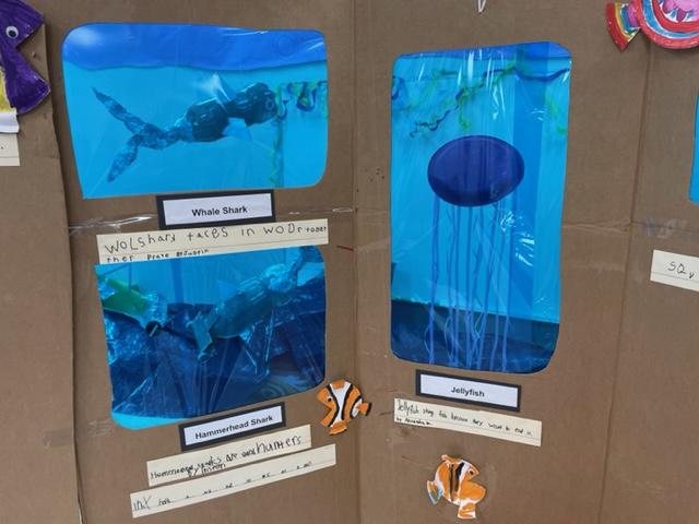 Kindergarten aquarium