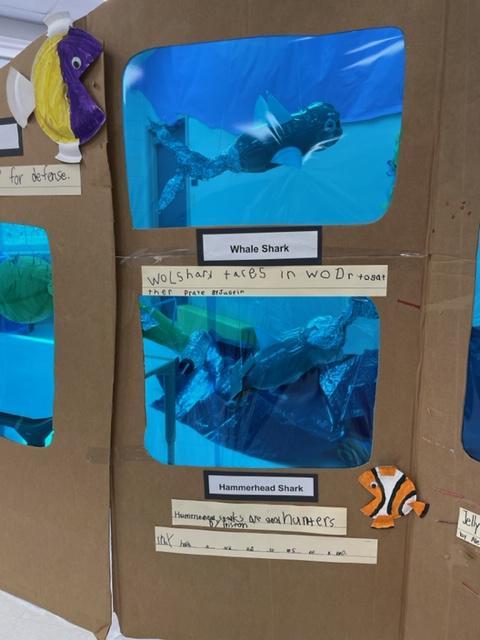 Kindergarten aquarium