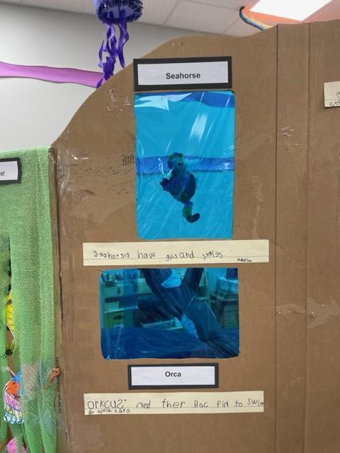 Kindergarten aquarium