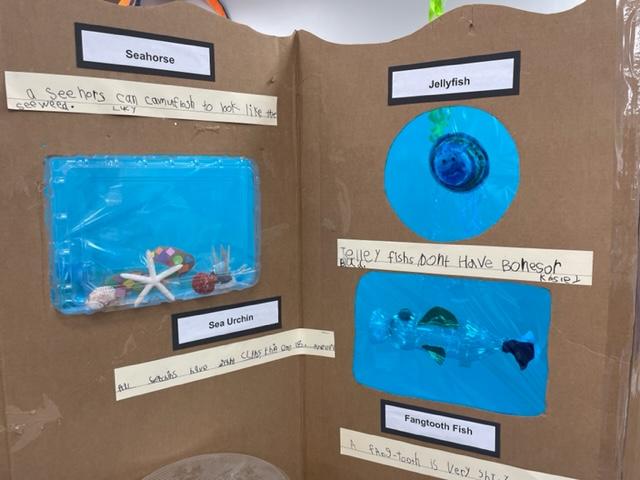 Kindergarten aquarium