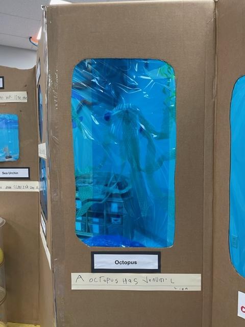Kindergarten aquarium