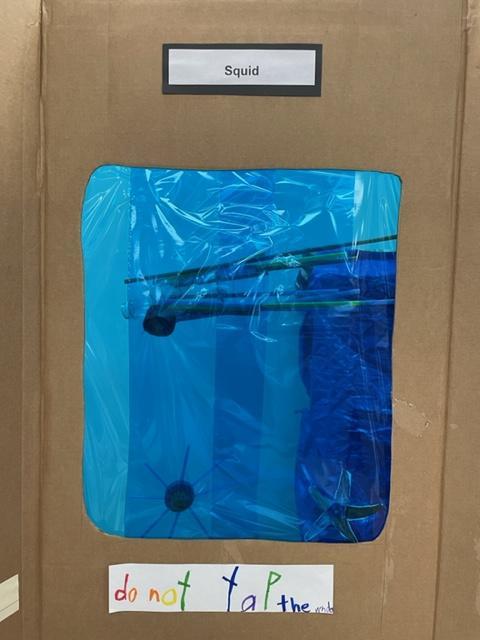 Kindergarten aquarium