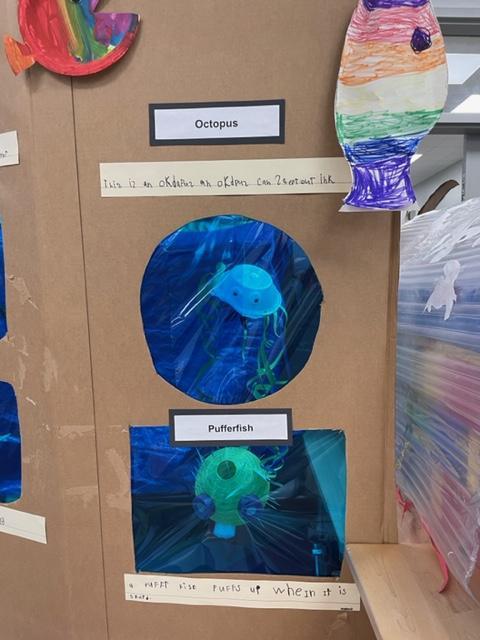Kindergarten aquarium