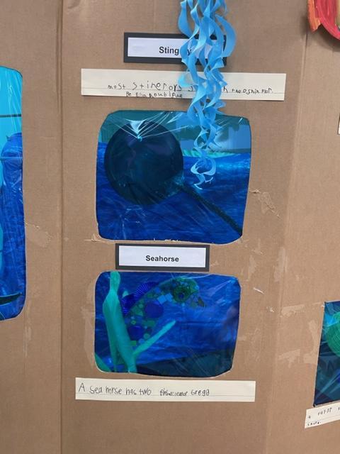 Kindergarten aquarium