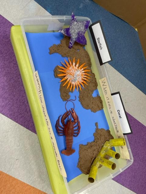 Kindergarten aquarium