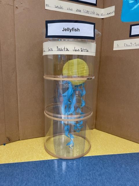Kindergarten aquarium