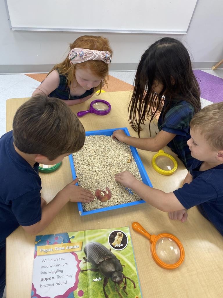 PreK-4 students learning
