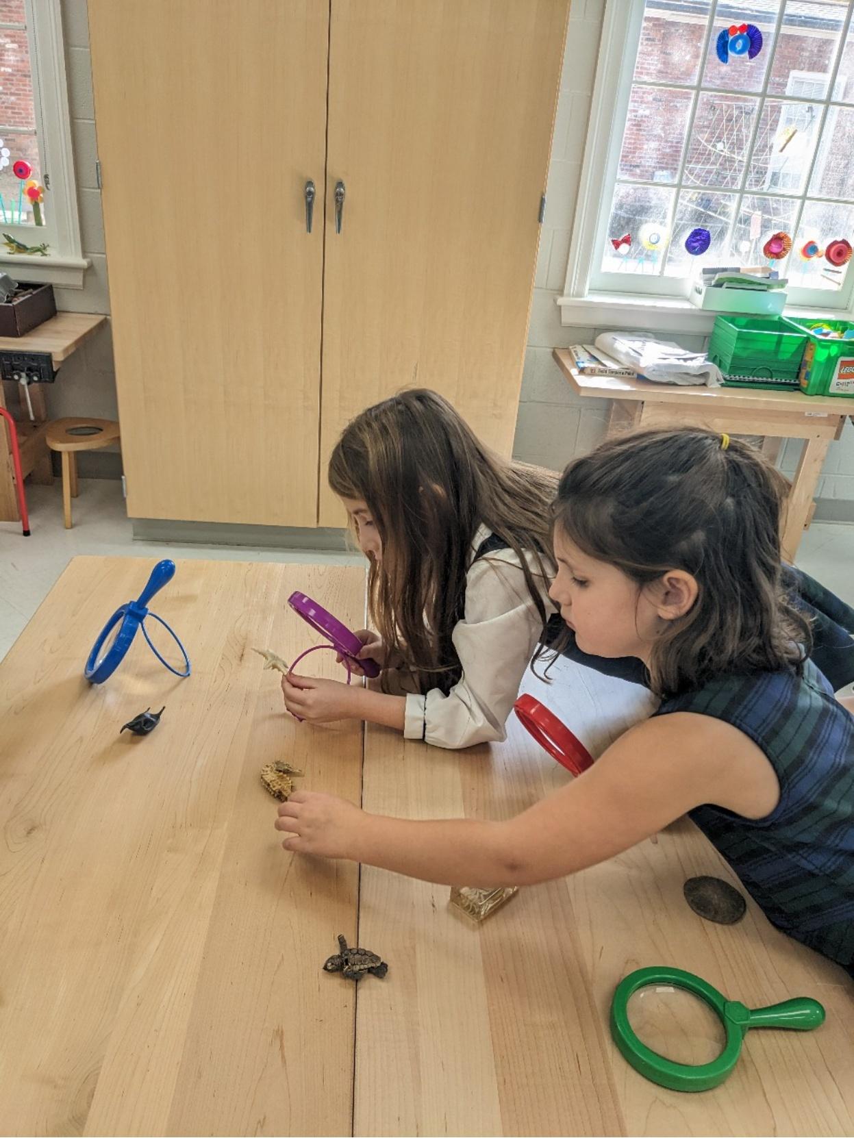 Kindergarten students learning