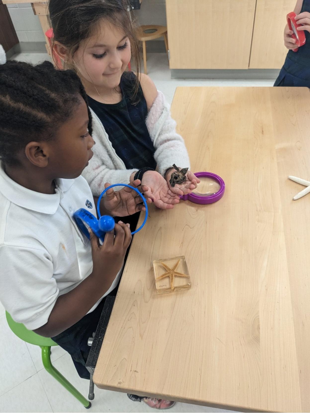Kindergarten students learning