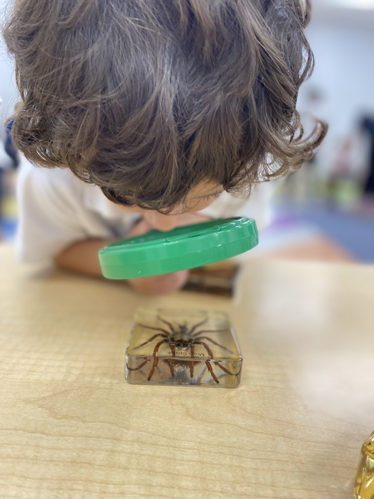 PreK-3 in QUEST