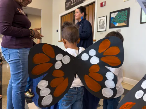 The PreK-4 Butterfly Parade: A Celebration of Early Childhood Learning