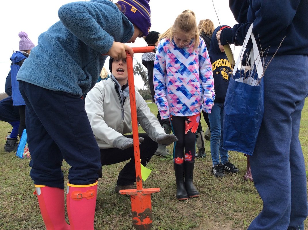 Upper/Lower School Students Team Up for Coastal Restoration