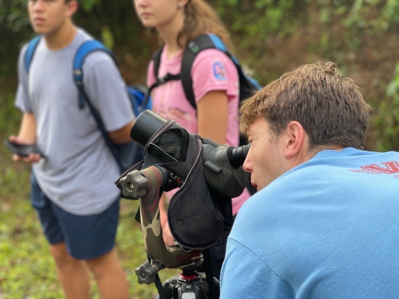 Lessons from the Cloud Forest