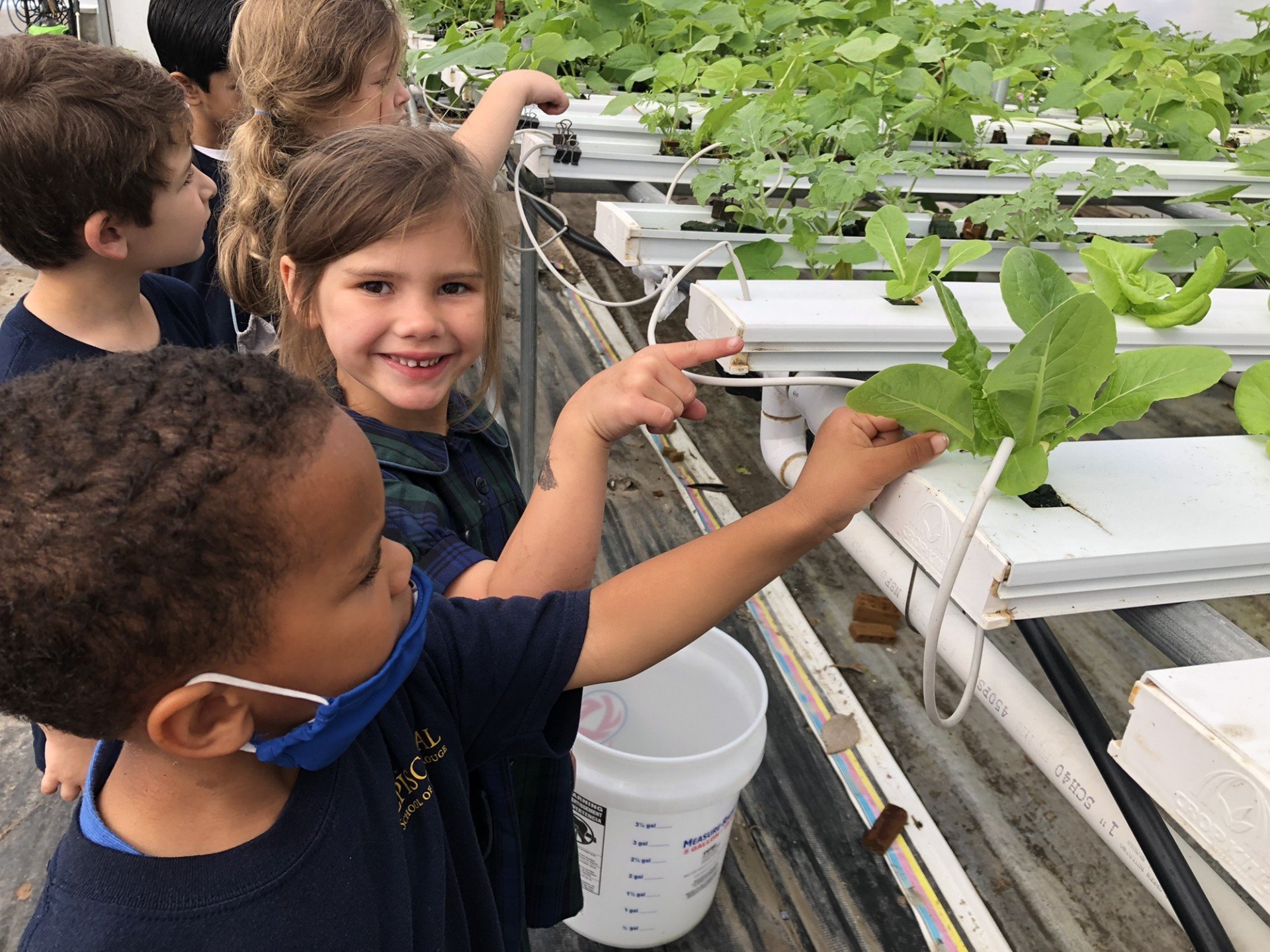 Episcopal Students are Going Green in the School's Hydroponic Greenhouse