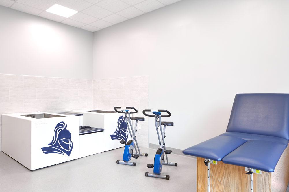 Training and Conditioning