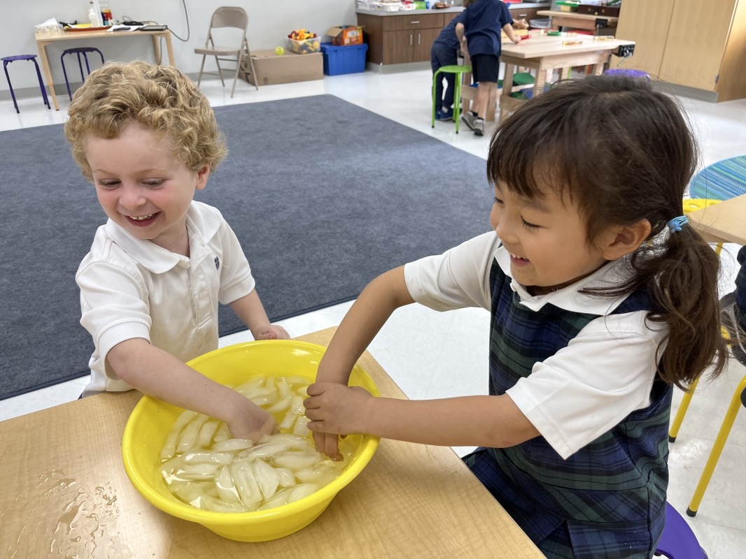 PreK-4 in QUEST