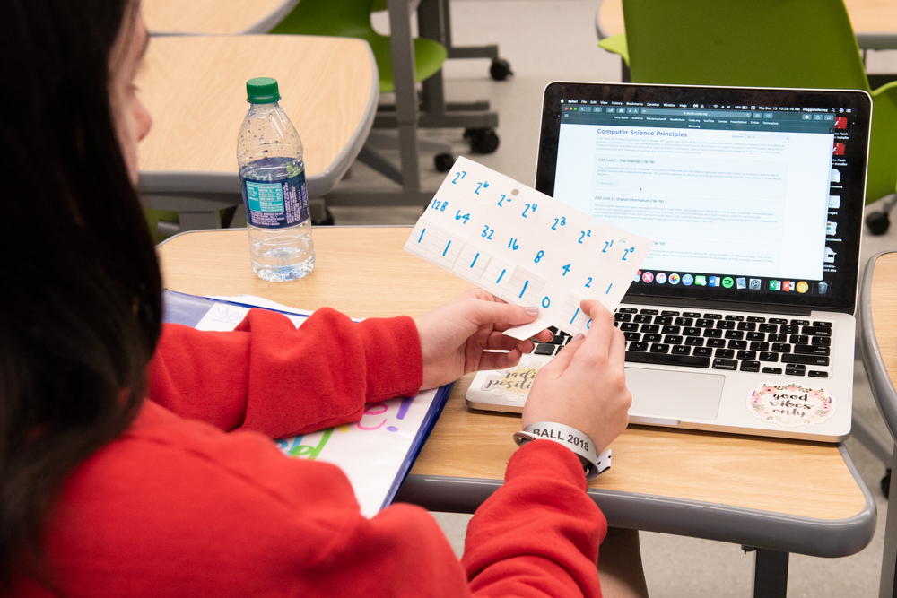 Computer science student