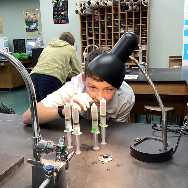 Photosynthesis experiment