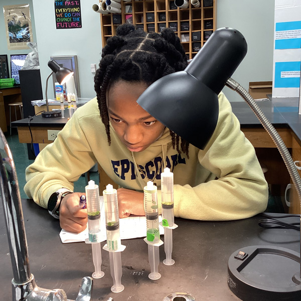 Photosynthesis experiment