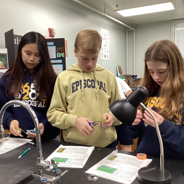 Photosynthesis experiment
