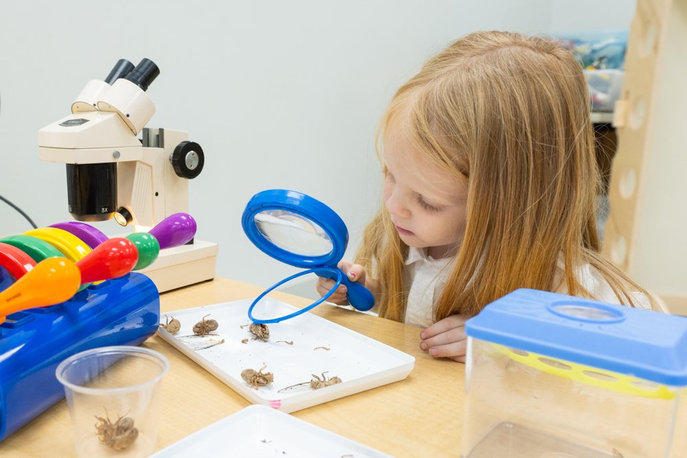 Fostering a Lifelong Love of Science in Early Childhood