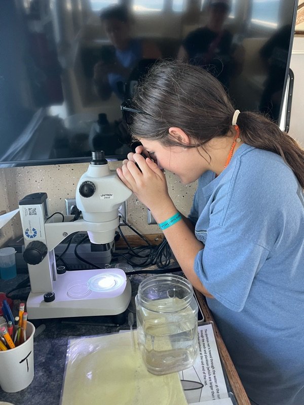 Student looking in microscope