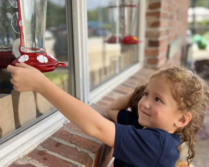 A Bird, A Bug and Student-Led Learning 