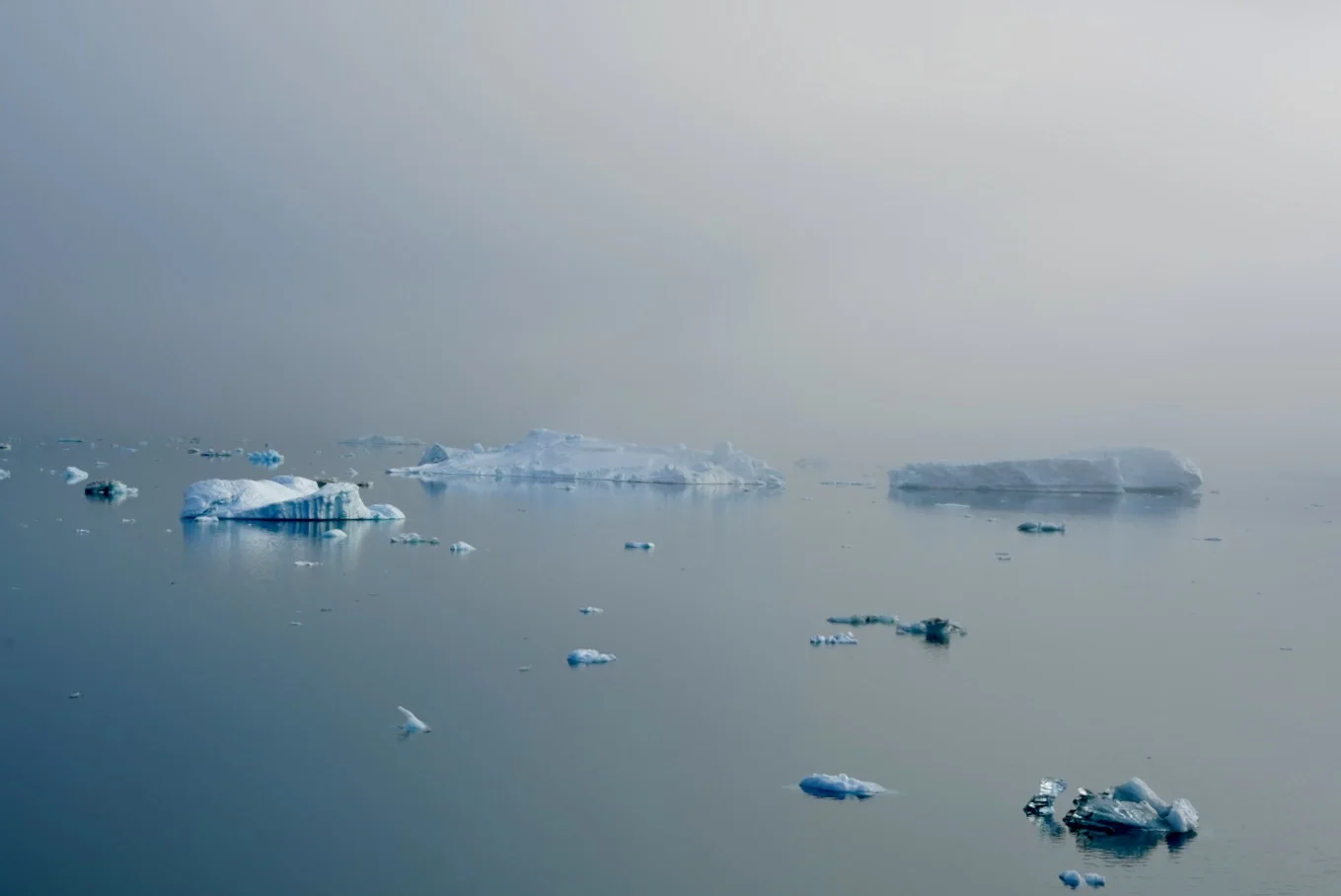 Scattered icebergs and small ice floes floating on a calm, fog‑shrouded sea under a grey sky.