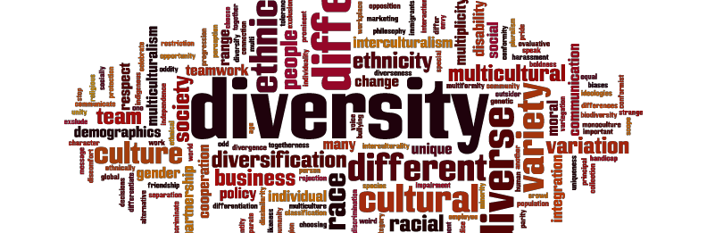 Diversity graphic