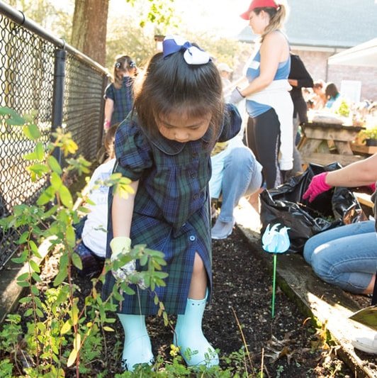 PreK garden